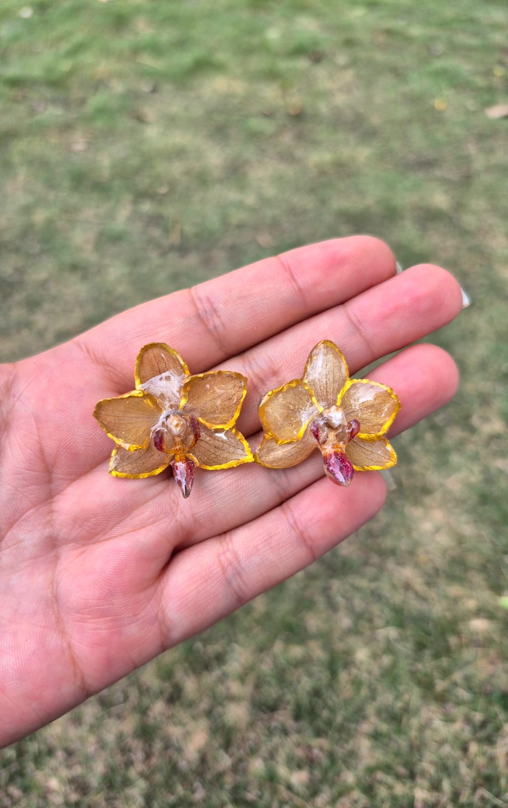  orquidea mini estilo topos